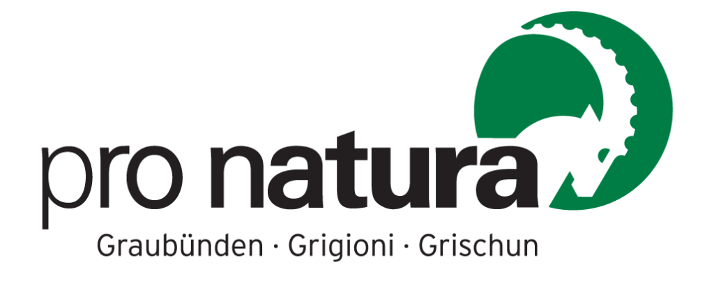 Agentur für Digital Marketing & Social Media - Qarant GmbH